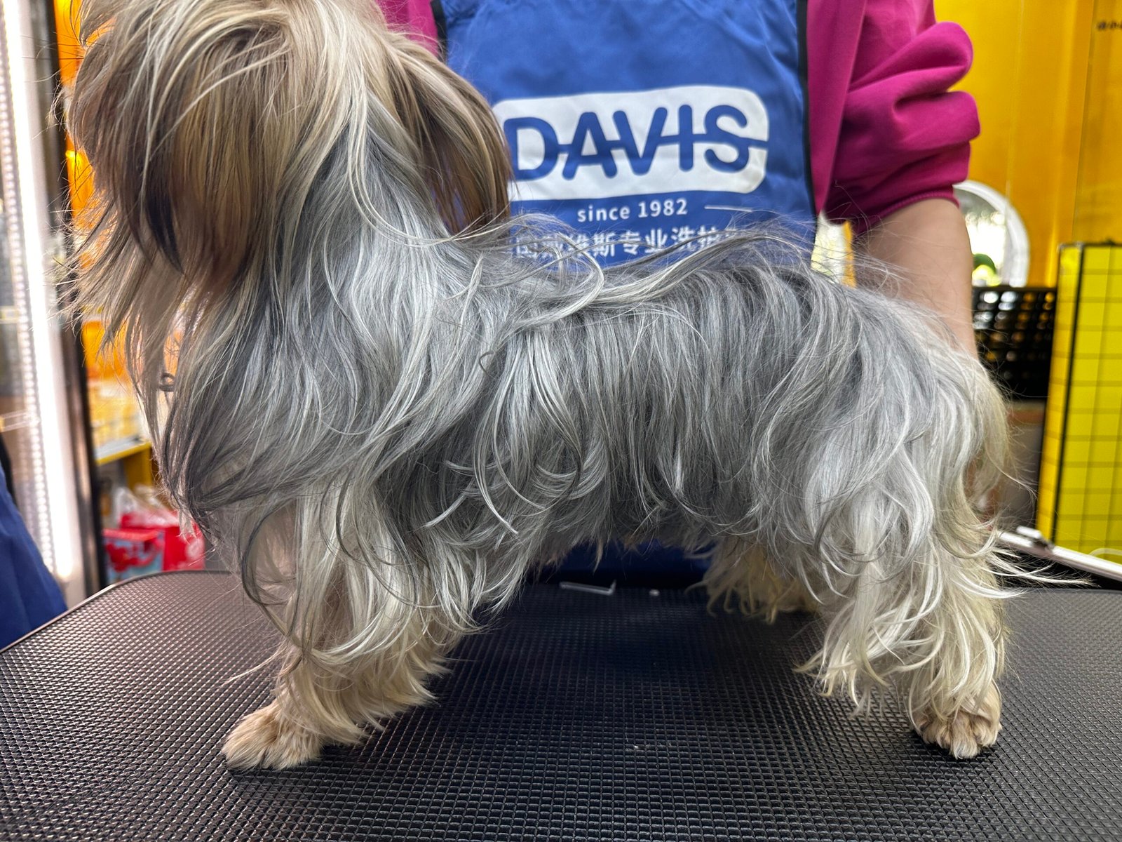 320案例5A - 副本