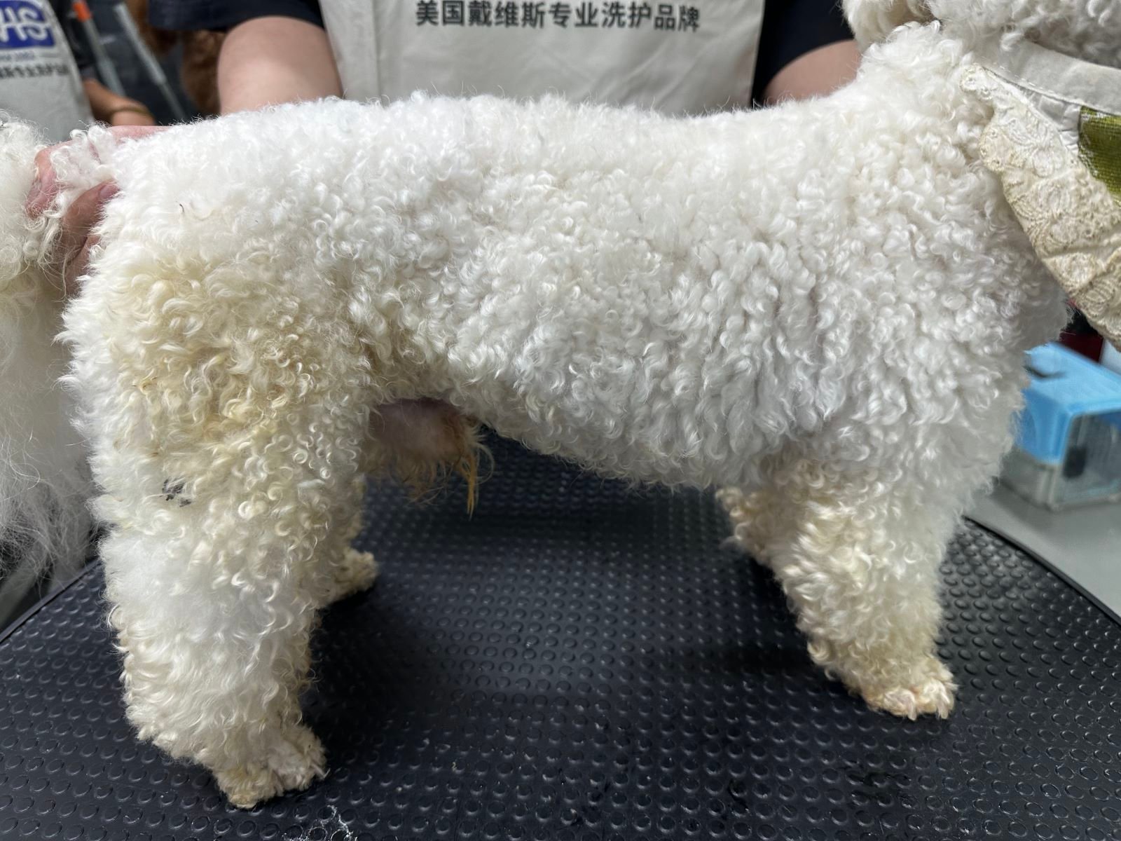 813案例4A - 副本