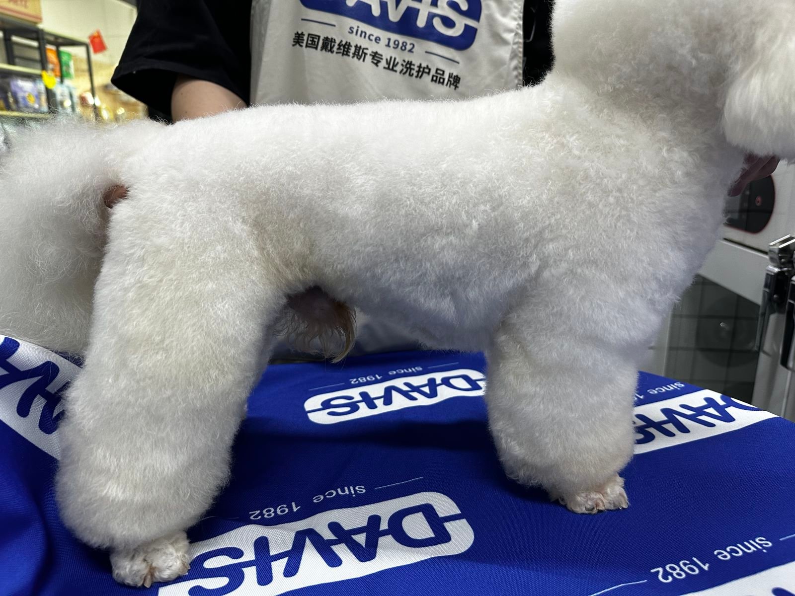 813案例4B - 副本