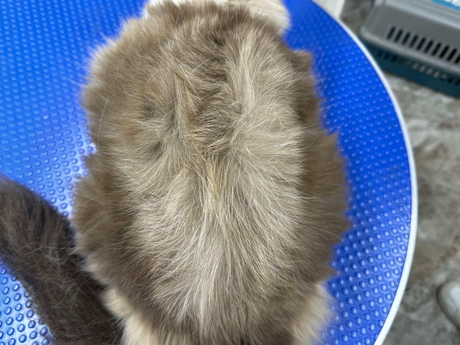 814案例5A - 副本