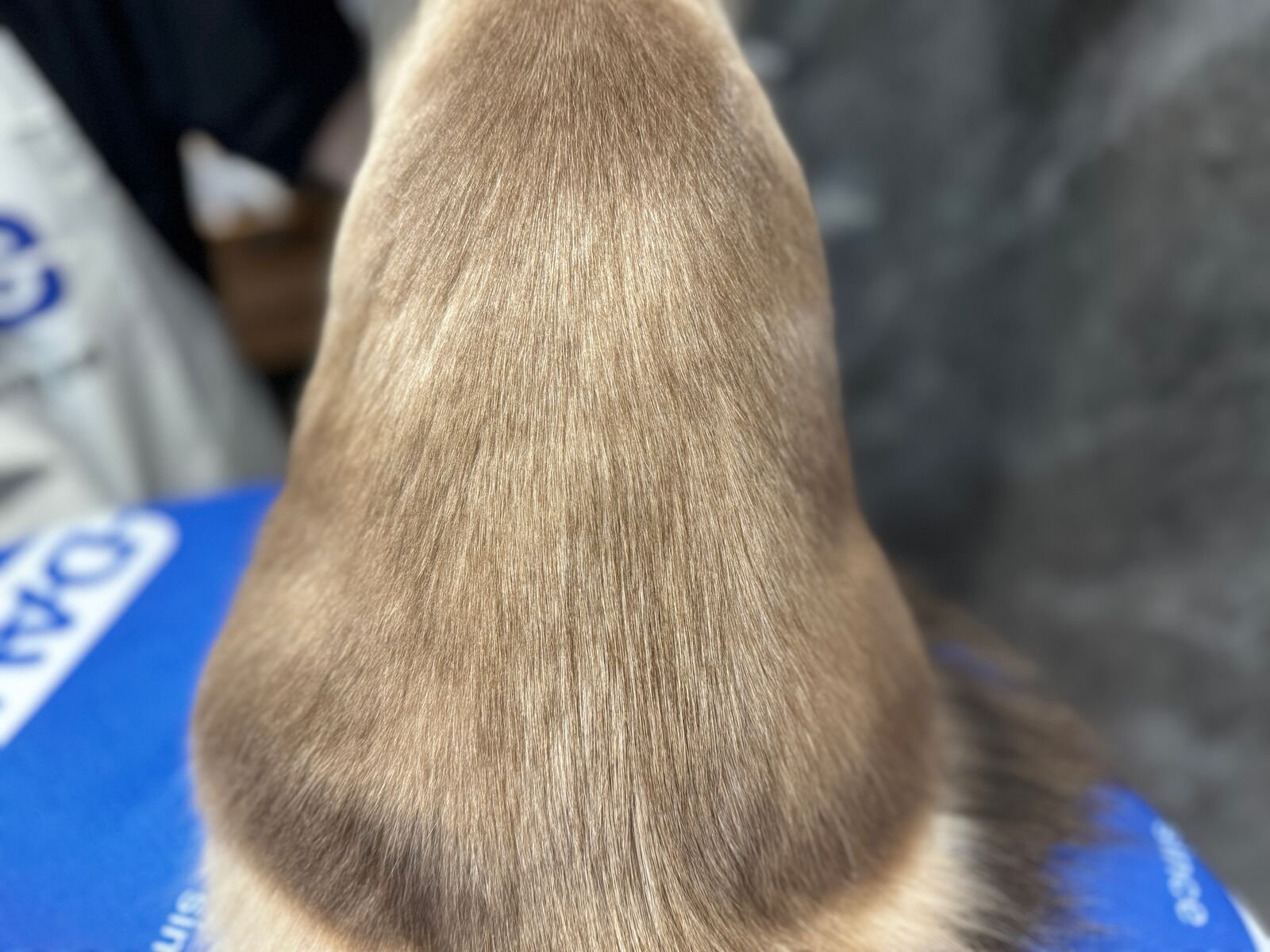 814案例5B - 副本