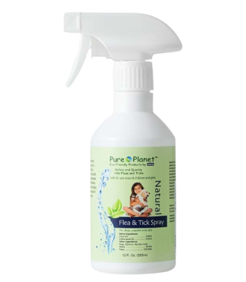 Shoulder Strap Length 78CM (6)