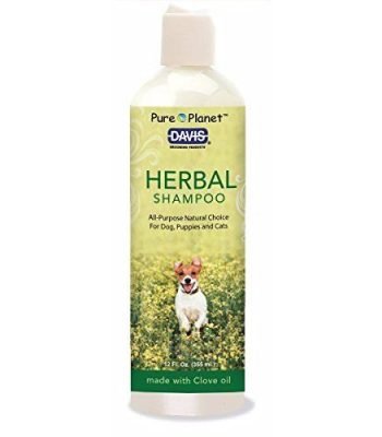 Processed By eBay with ImageMagick, z1.1.0. ||B2